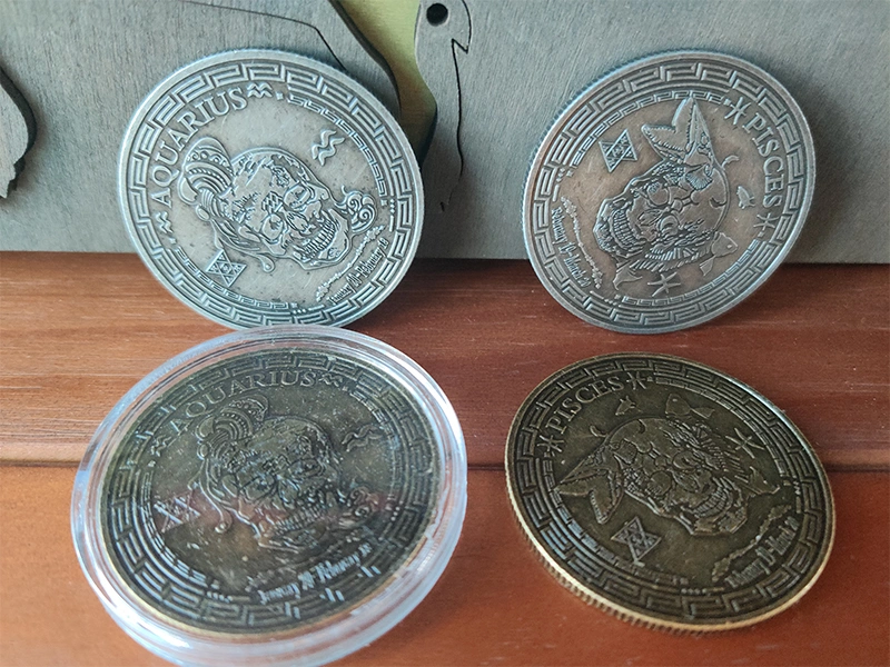 Skull 12 Zodiac Coins,Sliver